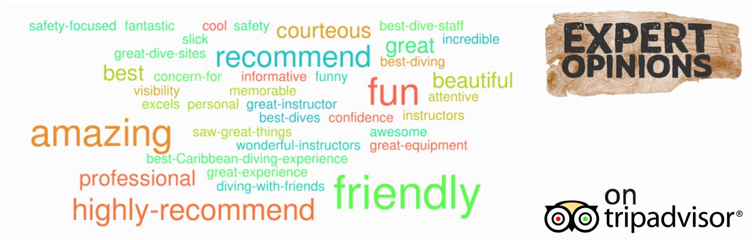 Expert-opinions-word-cloud about seriously fun diving