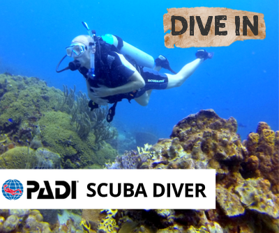 scubadiver