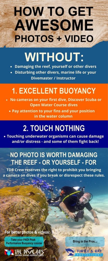 camera tips