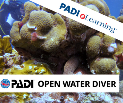 x-sell-Open-Water-eLearning